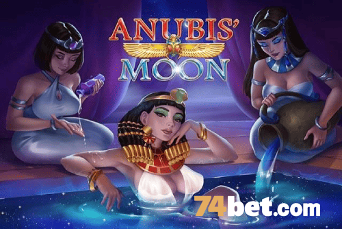 Multi-Sport Coverage